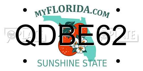 QDBE62 Florida License Plate