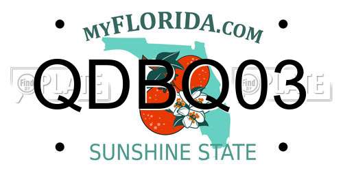 QDBQ03 Florida License Plate