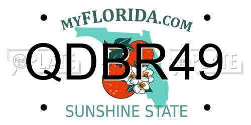 QDBR49 Florida License Plate