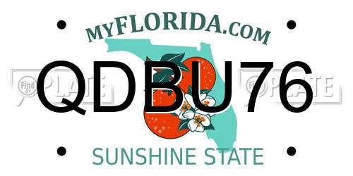 QDBU76 Florida License Plate
