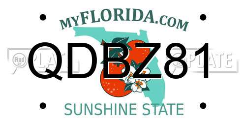 QDBZ81 Florida License Plate
