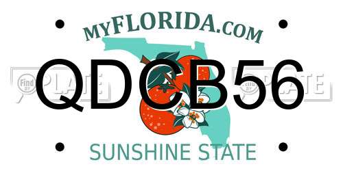 QDCB56 Florida License Plate