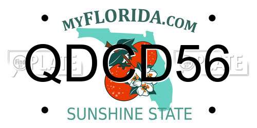 QDCD56 Florida License Plate