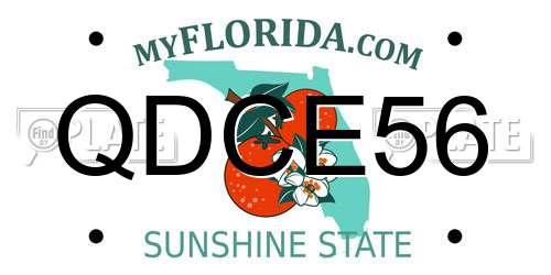 QDCE56 Florida License Plate