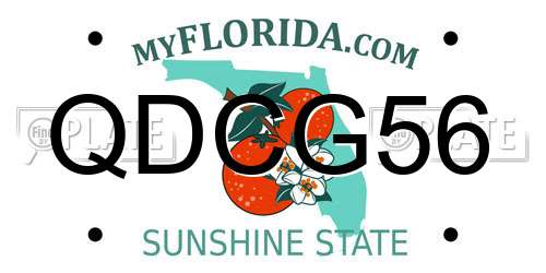 QDCG56 Florida License Plate