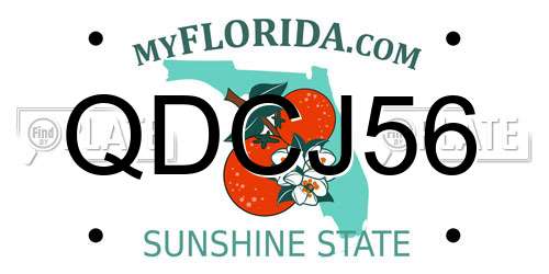 QDCJ56 Florida License Plate
