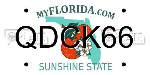 QDCK66 Florida License Plate