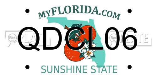 QDCL06 Florida License Plate