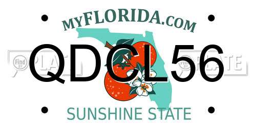 QDCL56 Florida License Plate