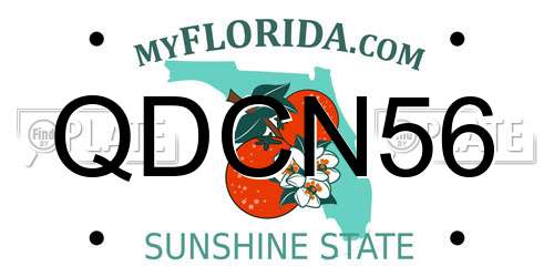 QDCN56 Florida License Plate