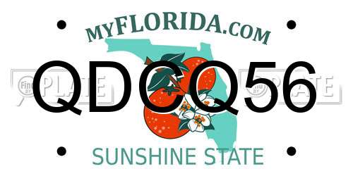 QDCQ56 Florida License Plate