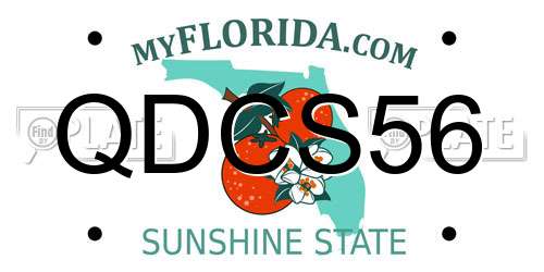 QDCS56 Florida License Plate