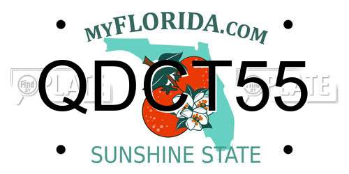 QDCT55 Florida License Plate