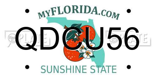 QDCU56 Florida License Plate
