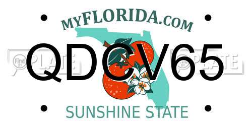 QDCV65 Florida License Plate