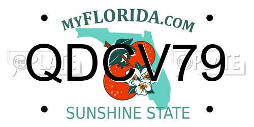 QDCV79 Florida License Plate