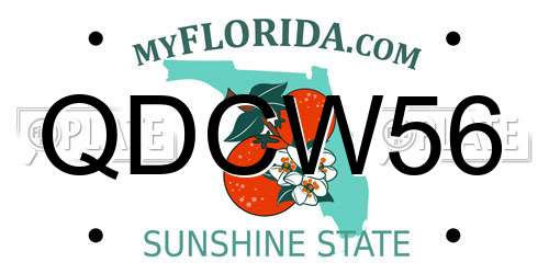 QDCW56 Florida License Plate
