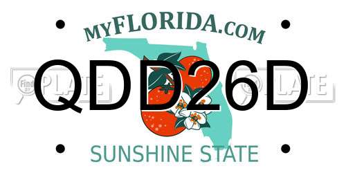 QDD26D Florida License Plate