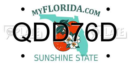 QDD76D Florida License Plate