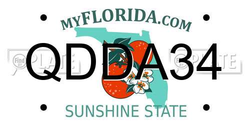 QDDA34 Florida License Plate