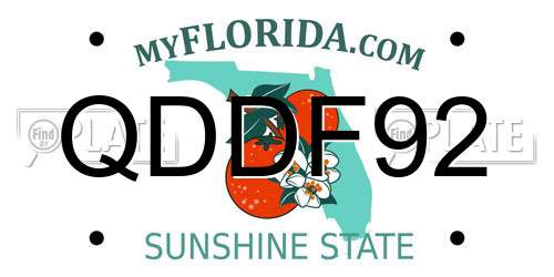 QDDF92 Florida License Plate