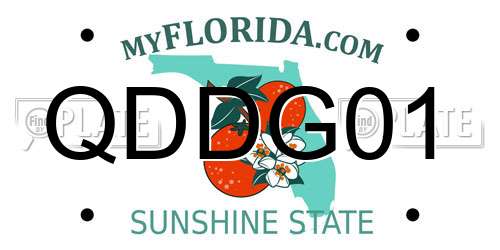 QDDG01 Florida License Plate