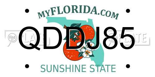 QDDJ85 Florida License Plate