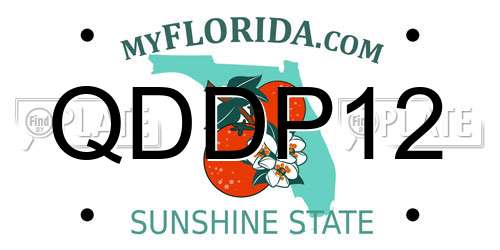 QDDP12 Florida License Plate