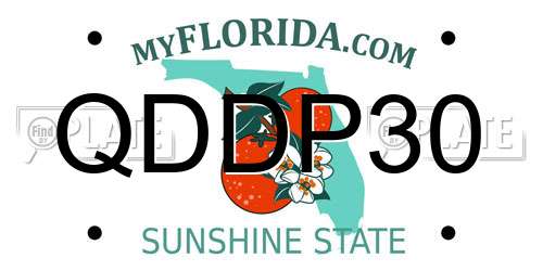 QDDP30 Florida License Plate