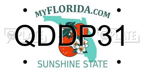 QDDP31 Florida License Plate