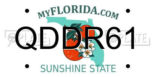 QDDR61 Florida License Plate