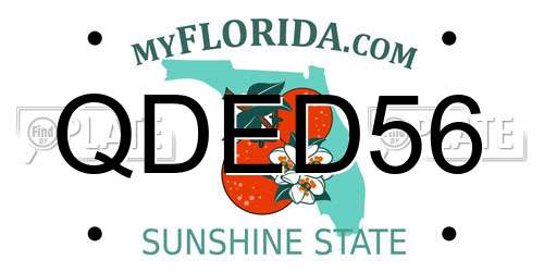 QDED56 Florida License Plate