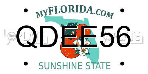 QDEE56 Florida License Plate