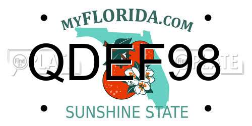 QDEF98 Florida License Plate