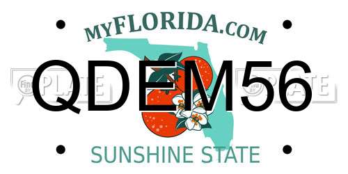 QDEM56 Florida License Plate