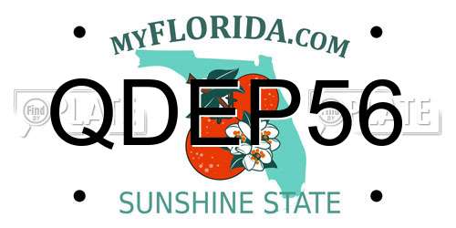 QDEP56 Florida License Plate