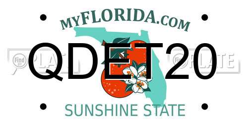 QDET20 Florida License Plate