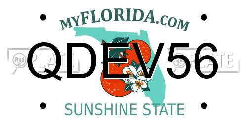 QDEV56 Florida License Plate