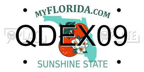 QDEX09 Florida License Plate