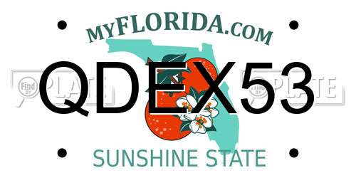 QDEX53 Florida License Plate