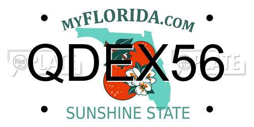 QDEX56 Florida License Plate