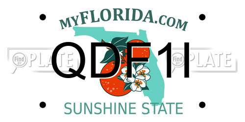 QDF1I Florida License Plate