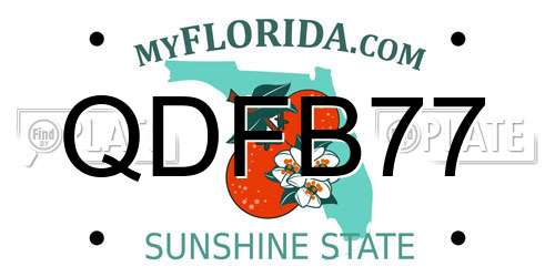 QDFB77 Florida License Plate