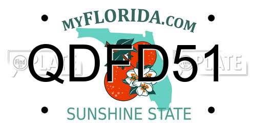QDFD51 Florida License Plate