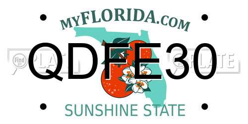 QDFE30 Florida License Plate