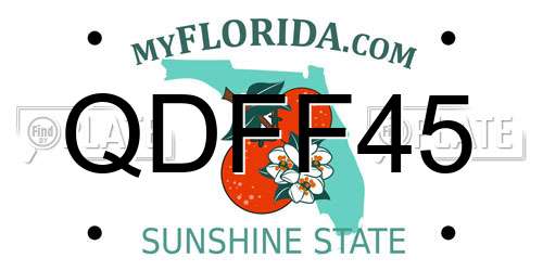 QDFF45 Florida License Plate