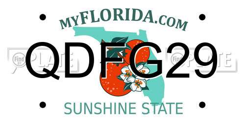 QDFG29 Florida License Plate