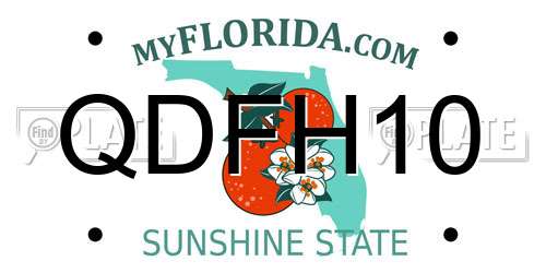 QDFH10 Florida License Plate
