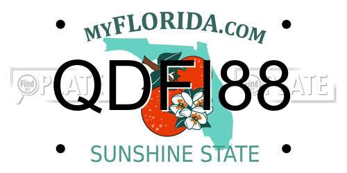 QDFI88 Florida License Plate