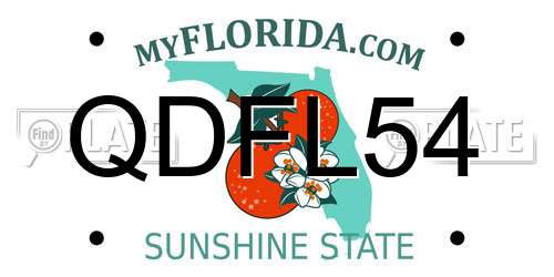 QDFL54 Florida License Plate